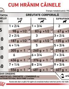 ROYAL CANIN VETERINARY DIET ROYAL CANIN VD Gastrointestinal High Fibre XS-XL dietă veterinară conservă hrană umedă câini sistem digestiv (pate) 200g