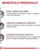 ROYAL CANIN VETERINARY DIET ROYAL CANIN VD Gastrointestinal High Fibre XS-XL dietă veterinară hrană uscată câini sistem digestiv 2kg