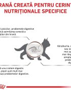 ROYAL CANIN VETERINARY DIET ROYAL CANIN VD Gastrointestinal Kitten dietă veterinară hrană uscată pisici junior sistem digestiv 2kg