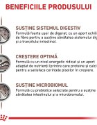 ROYAL CANIN VETERINARY DIET ROYAL CANIN VD Gastrointestinal Kitten dietă veterinară hrană uscată pisici junior sistem digestiv 2kg