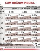 ROYAL CANIN VETERINARY DIET ROYAL CANIN VD Gastrointestinal Kitten dietă veterinară hrană uscată pisici junior sistem digestiv 400g
