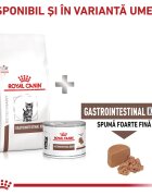 ROYAL CANIN VETERINARY DIET ROYAL CANIN VD Gastrointestinal Kitten dietă veterinară hrană uscată pisici junior sistem digestiv 400g