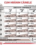 ROYAL CANIN VETERINARY DIET ROYAL CANIN VD Gastrointestinal Low Fat XS-XL dietă veterinară conservă hrană umedă câini sistem digestiv (pate) 200g