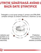 ROYAL CANIN VETERINARY DIET ROYAL CANIN VD Gastrointestinal Low Fat XS-XL dietă veterinară hrană uscată câini sistem digestiv 6kg