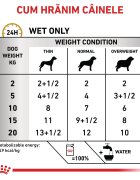ROYAL CANIN VETERINARY DIET ROYAL CANIN VD Gastrointestinal M-XL dietă veterinară hrană uscată câini sistem digestiv 15kg
