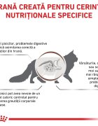 ROYAL CANIN VETERINARY DIET ROYAL CANIN VD Gastrointestinal Moderate Calorie dietă veterinară hrană uscată pisici sistem digestiv 2kg