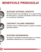 ROYAL CANIN VETERINARY DIET ROYAL CANIN VD Gastrointestinal Moderate Calorie dietă veterinară hrană uscată pisici sistem digestiv 2kg