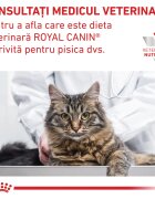 ROYAL CANIN VETERINARY DIET ROYAL CANIN VD Gastrointestinal Moderate Calorie dietă veterinară hrană uscată pisici sistem digestiv 2kg