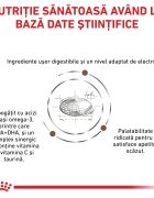 ROYAL CANIN VETERINARY DIET ROYAL CANIN VD Gastrointestinal Moderate Calorie dietă veterinară hrană uscată pisici sistem digestiv 4kg