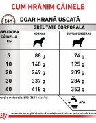 ROYAL CANIN VETERINARY DIET ROYAL CANIN VD Gastrointestinal Moderate Calorie XS-XL dietă veterinară hrană uscată câini sistem digestiv 2kg