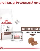 ROYAL CANIN VETERINARY DIET ROYAL CANIN VD Gastrointestinal Puppy XS-XL dietă veterinară hrană uscată câini junior sistem digestiv 10kg