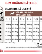 ROYAL CANIN VETERINARY DIET ROYAL CANIN VD Gastrointestinal Puppy XS-XL dietă veterinară hrană uscată câini junior sistem digestiv 2.5kg
