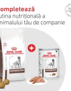 ROYAL CANIN VETERINARY DIET ROYAL CANIN VD Gastrointestinal XS-XL dietă veterinară conservă hrană umedă câini sistem digestiv (pate) 200g