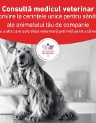 ROYAL CANIN VETERINARY DIET ROYAL CANIN VD Gastrointestinal XS-XL dietă veterinară conservă hrană umedă câini sistem digestiv (pate) 400g