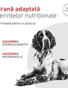 ROYAL CANIN VETERINARY DIET ROYAL CANIN VD Gastrointestinal XS-XL dietă veterinară conservă hrană umedă câini sistem digestiv (pate) 400g