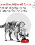 ROYAL CANIN VETERINARY DIET ROYAL CANIN VD Gastrointestinal XS-XL dietă veterinară conservă hrană umedă câini sistem digestiv (pate) 400g