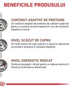 ROYAL CANIN VETERINARY DIET ROYAL CANIN VD Hepatic XS-XL dietă veterinară conservă hrană umedă câini suport hepatic (pate) 200g