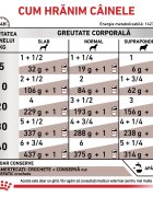 ROYAL CANIN VETERINARY DIET ROYAL CANIN VD Hepatic XS-XL dietă veterinară conservă hrană umedă câini suport hepatic (pate) 420g