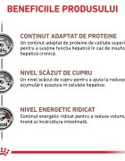 ROYAL CANIN VETERINARY DIET ROYAL CANIN VD Hepatic XS-XL dietă veterinară hrană uscată câini suport hepatic 1.5kg
