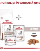 ROYAL CANIN VETERINARY DIET ROYAL CANIN VD Hepatic XS-XL dietă veterinară hrană uscată câini suport hepatic 12kg