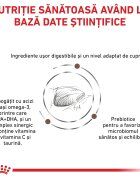 ROYAL CANIN VETERINARY DIET ROYAL CANIN VD Hepatic XS-XL dietă veterinară hrană uscată câini suport hepatic 7kg