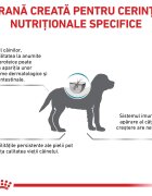 ROYAL CANIN VETERINARY DIET ROYAL CANIN VD Hypoallergenic Puppy XS-XL dietă veterinară hrană uscată câini junior afecțiuni dermatologice 1.5kg