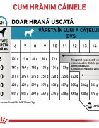 ROYAL CANIN VETERINARY DIET ROYAL CANIN VD Hypoallergenic Puppy XS-XL dietă veterinară hrană uscată câini junior afecțiuni dermatologice 3.5kg