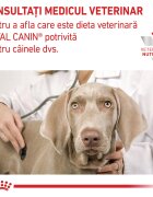 ROYAL CANIN VETERINARY DIET ROYAL CANIN VD Mobility Support XS-XL dietă veterinară hrană uscată câini sistem articular 12kg
