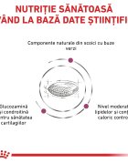 ROYAL CANIN VETERINARY DIET ROYAL CANIN VD Mobility Support XS-XL dietă veterinară hrană uscată câini sistem articular 2kg