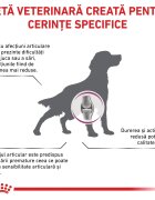 ROYAL CANIN VETERINARY DIET ROYAL CANIN VD Mobility Support XS-XL dietă veterinară hrană uscată câini sistem articular 7kg