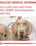 ROYAL CANIN VETERINARY DIET ROYAL CANIN VD Neutered Adult Small Dog XS-S dietă veterinară hrană uscată câini 1.5kg