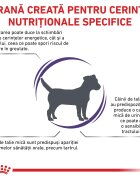 ROYAL CANIN VETERINARY DIET ROYAL CANIN VD Neutered Adult Small Dog XS-S dietă veterinară hrană uscată câini 3.5kg