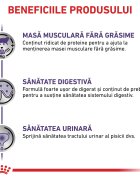 ROYAL CANIN VETERINARY DIET ROYAL CANIN VD Neutered Maintenance dietă veterinară plic hrană umedă pisici managementul greutății (în sos) bax 85g x 12buc