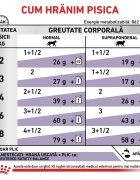 ROYAL CANIN VETERINARY DIET ROYAL CANIN VD Neutered Maintenance dietă veterinară plic hrană umedă pisici managementul greutății (în sos) bax 85g x 12buc