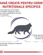 ROYAL CANIN VETERINARY DIET ROYAL CANIN VD Neutered Satiety Balance dietă veterinară hrană uscată pisici managementul greutății 1.5kg