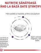 ROYAL CANIN VETERINARY DIET ROYAL CANIN VD Neutered Satiety Balance dietă veterinară hrană uscată pisici managementul greutății 1.5kg