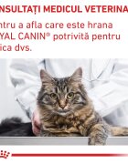 ROYAL CANIN VETERINARY DIET ROYAL CANIN VD Neutered Satiety Balance dietă veterinară hrană uscată pisici managementul greutății 1.5kg