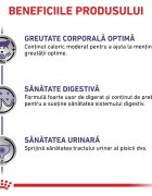 ROYAL CANIN VETERINARY DIET ROYAL CANIN VD Neutered Weight Balance dietă veterinară plic hrană umedă pisici managementul greutății (în sos) bax 85g x 12buc