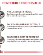 ROYAL CANIN VETERINARY DIET ROYAL CANIN VD Recovery Cat/Dog XS-XL dietă veterinară conservă hrană umedă câini și pisici convalescență (mousse) 195g