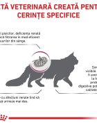 ROYAL CANIN VETERINARY DIET ROYAL CANIN VD Renal dietă veterinară hrană uscată pisici sistem renal 2kg