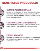 ROYAL CANIN VETERINARY DIET ROYAL CANIN VD Renal dietă veterinară hrană uscată pisici sistem renal 2kg