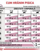 ROYAL CANIN VETERINARY DIET ROYAL CANIN VD Renal dietă veterinară hrană uscată pisici sistem renal 4kg
