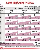 ROYAL CANIN VETERINARY DIET ROYAL CANIN VD Renal Pește dietă veterinară plic hrană umedă pisici sistem renal (în sos) bax 85g x 12buc