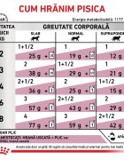 ROYAL CANIN VETERINARY DIET ROYAL CANIN VD Renal Pui dietă veterinară plic hrană umedă pisici sistem renal (în sos) bax 85g x 12buc