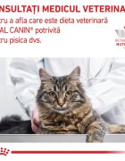 ROYAL CANIN VETERINARY DIET ROYAL CANIN VD Renal Pui dietă veterinară plic hrană umedă pisici sistem renal (în sos) bax 85g x 12buc
