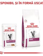 ROYAL CANIN VETERINARY DIET ROYAL CANIN VD Renal Pui dietă veterinară plic hrană umedă pisici sistem renal (în sos) bax 85g x 12buc