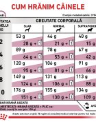 ROYAL CANIN VETERINARY DIET ROYAL CANIN VD Renal Small Dog XS-S dietă veterinară hrană uscată câini sistem renal 1.5kg