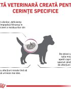 ROYAL CANIN VETERINARY DIET ROYAL CANIN VD Renal Small Dog XS-S dietă veterinară hrană uscată câini sistem renal 3.5kg