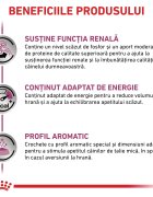 ROYAL CANIN VETERINARY DIET ROYAL CANIN VD Renal Small Dog XS-S dietă veterinară hrană uscată câini sistem renal 3.5kg