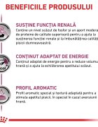 ROYAL CANIN VETERINARY DIET ROYAL CANIN VD Renal Vită dietă veterinară plic hrană umedă pisici sistem renal (în sos) bax 85g x 12buc